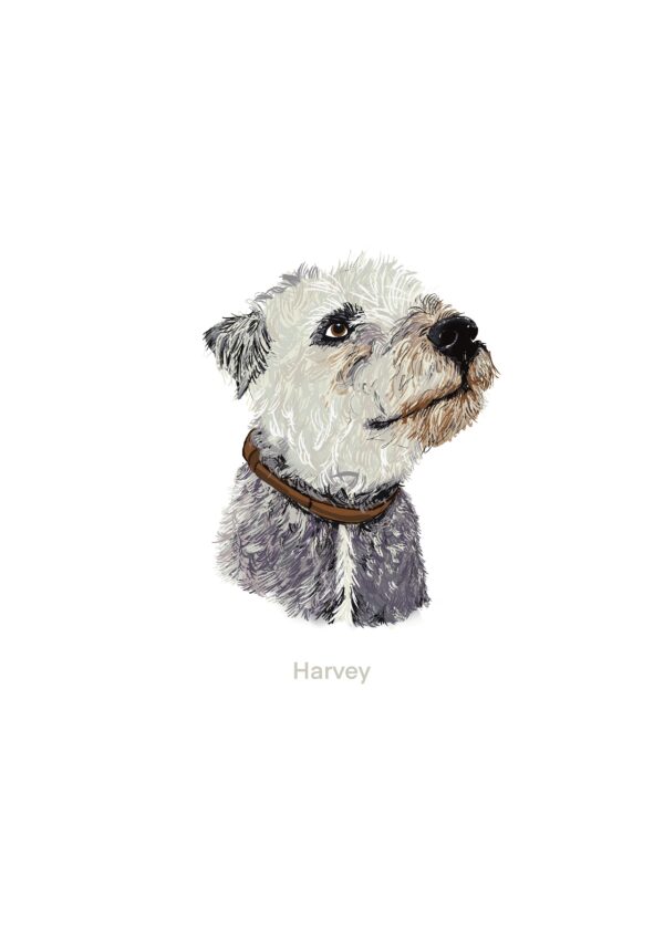 Custom Digital Pet Illustrations – A Tribute to Your Best Friend